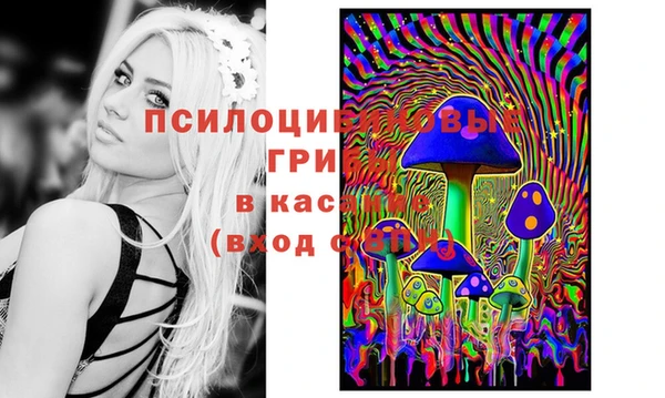 молекула духа Михайловка