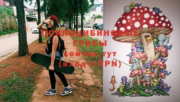 эйфоретик Михайловск