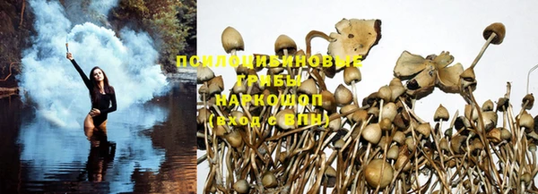 молекула духа Михайловка