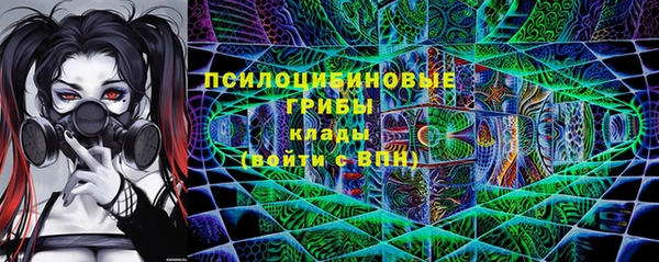 крисы Мегион