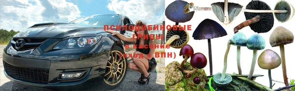 ПСИЛОЦИБИНОВЫЕ ГРИБЫ Братск