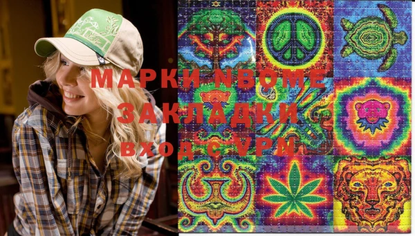 молекула духа Великий Новгород