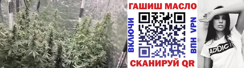Купить закладки  Кинель  ТГК гашишное масло 