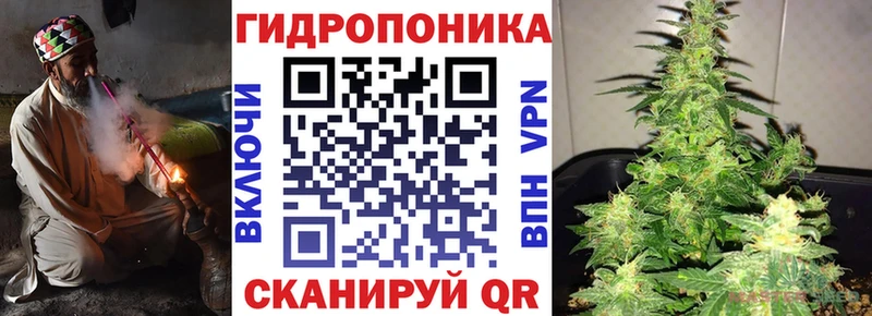 Каннабис Amnesia Купить закладки Кинель